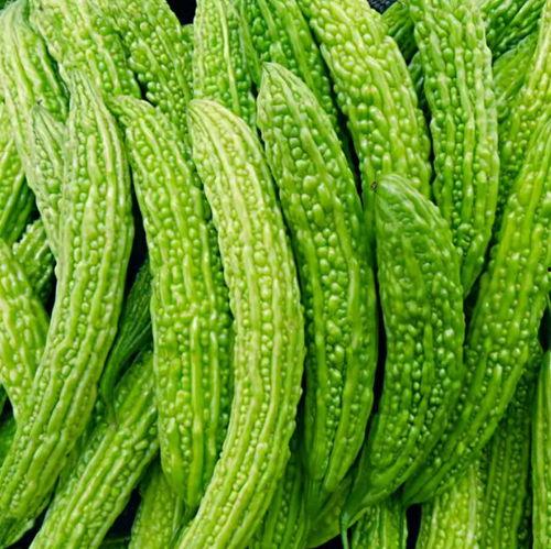 适合娱乐吃瓜的头像,吃瓜群众必备头像大集合 第2张 适合娱乐吃瓜的头像,吃瓜群众必备头像大集合 第2张