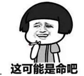 娱乐吃瓜酱被骗10块钱,揭秘网络诈骗背后的真相 第3张 娱乐吃瓜酱被骗10块钱,揭秘网络诈骗背后的真相 第3张